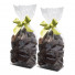 Lot de 2 - Fritures de Noël au Chocolat Noir - photo 2
