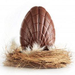 Gros Œuf de Pâques en Chocolat au Lait