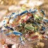 Papillotes de Lyon en Chocolat - photo 1