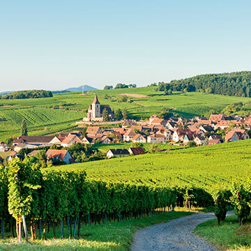 LES SPÉCIALITÉS RÉGIONALES Le meilleur de notre terroir français