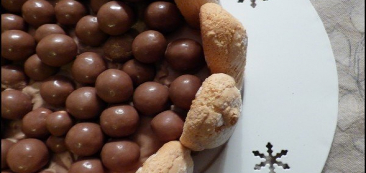 Charlotte au mascarpone et à la pâte à tartiner 